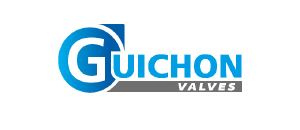 logo-GUICHON-300x130